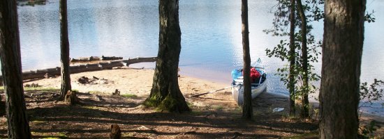 MEDION Digital Camera