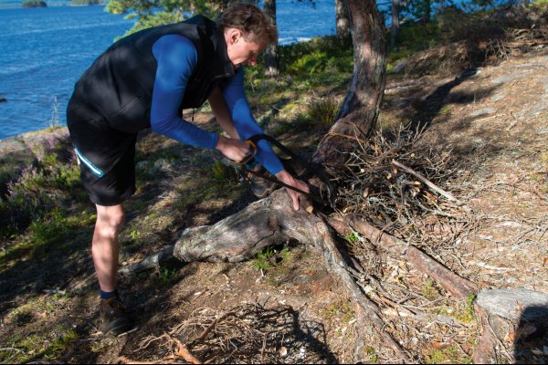  © 2015, Lisa Birkigt, all rights reserved